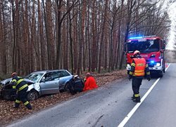 Řidič ve Zlíně se vyhýbal srně, sjel ze silnice a narazil do stromu