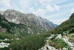 Turista šel do hor se psem v nákupní tašce