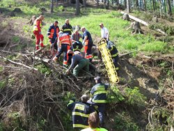 Zraněného lesního dělníka musel transportovat vrtulník letecké záchranné služby