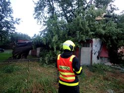 Moravskoslezské hasiče zaměstnaly večerní bouřky, hlavně stromy