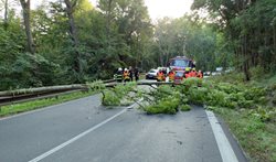 Na projíždějící auto spadl strom