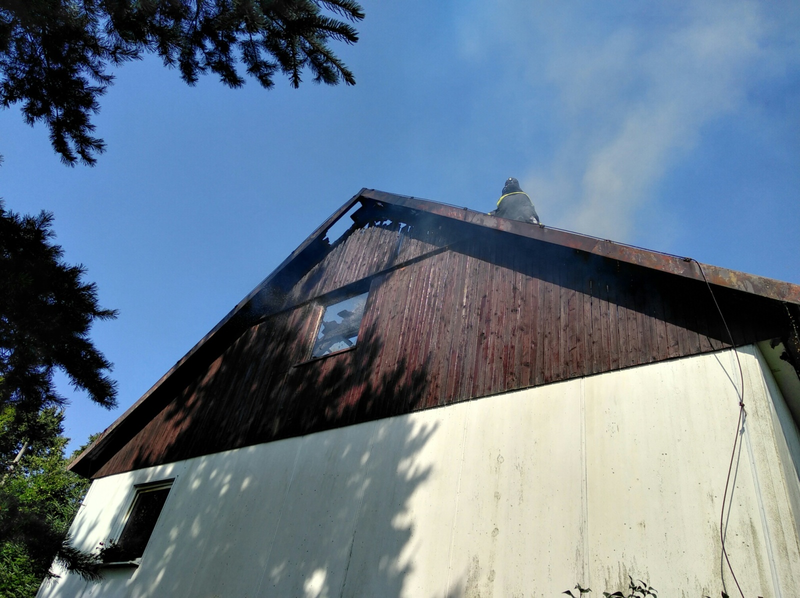 ViewImage-(2).jpg ViewImage-(2).jpg