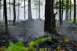 Velmi vysoké teploty a vysoké nebezpečí požárů