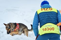 Nasazení v extrému: Horská služba a psí hrdinové v boji proti lavinám