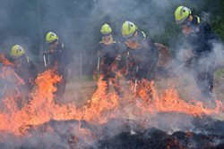 Středočeští hasiči procvičovali hašení přírodních požárů