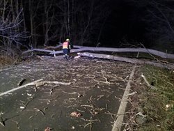 Hasiči odstraňovali spadlé stromy, utržené střechy i požár auta