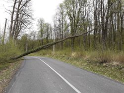 Spadlý strom blokoval dvě hodiny dopravu u Bystřice pod Hostýnem.