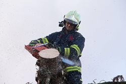 Osobní auto narazilo do vyvráceného stromu na okrese Chomutov 