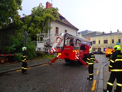 Ranní bouřky vyslaly moravskoslezské hasiče k 16 spadlým stromům a větvím