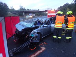 Tragický střet osobního vozidla s koněm na plzeňské dálnici