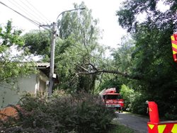 Ostravští hasiči odstranili strom na drátech v Proskovicích jeřábem a plošinou